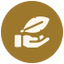 LIGHTWEIGHT ICON